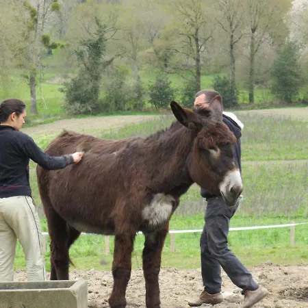 Le Domaine Des Fees * La Gaubretiere